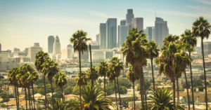 A picture of Los Angeles with palm trees in front of the city skyline